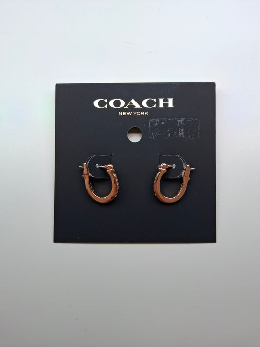 Aretes Coach